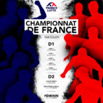 Championnats de France par équipe D2